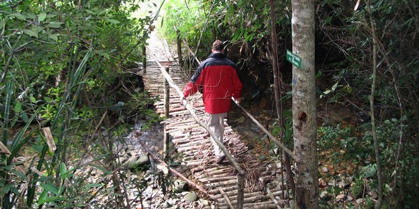 bach ma national park day tour from hue